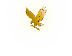 The City of Ash Flat, Arkansas | City Government Information & Community Resources
